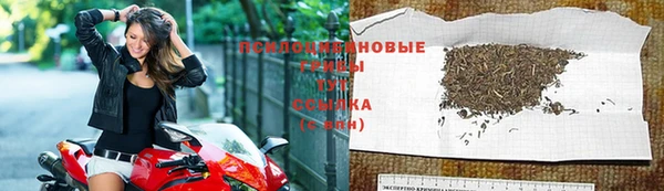 бутират Арсеньев
